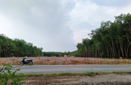 Cần mua 5000m2 đất Lộc Hòa, Lộc An, huyện Lộc Ninh, Tỉnh Bình Phước